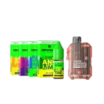 10000-Puff-Vape-Kit